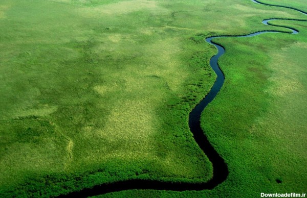 تصویر بسیار زیبا از رودخانه آمازون در جنگل های سرسبز زیبا