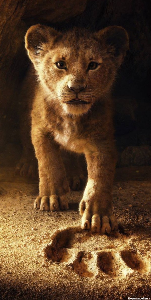 عکس زیبا از بچه شیر