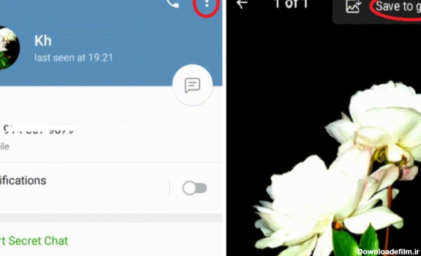 ذخیره عکس پروفایل تلگرام سایر کاربران - کوک موبایل