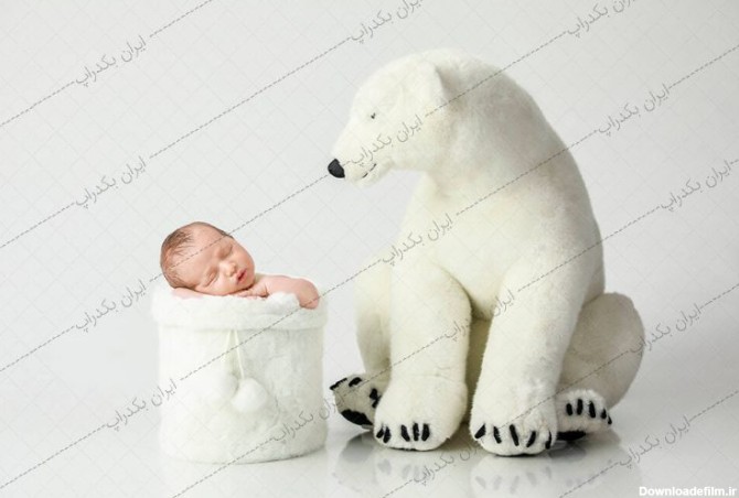 بک دراپ نوزاد خرس قطبی سفید زمستانی کد IBD-3428 - ایران بک دراپ