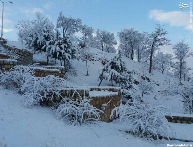 عکس/ طبیعت زیبای بام نهاوند در زمستان - مشرق نیوز