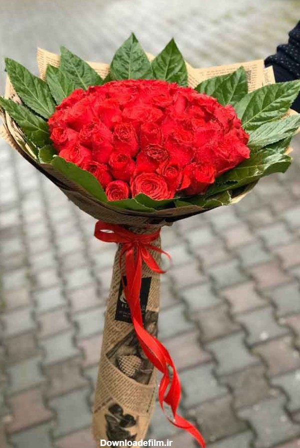دسته گل 50 شاخه ای رز ایرانی ممتاز | فروشگاه گل اریس