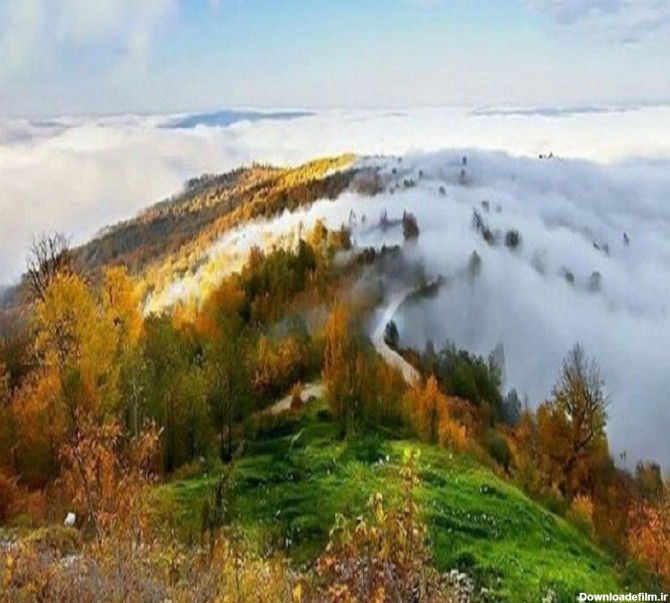 جنگل های مازندران در شمال