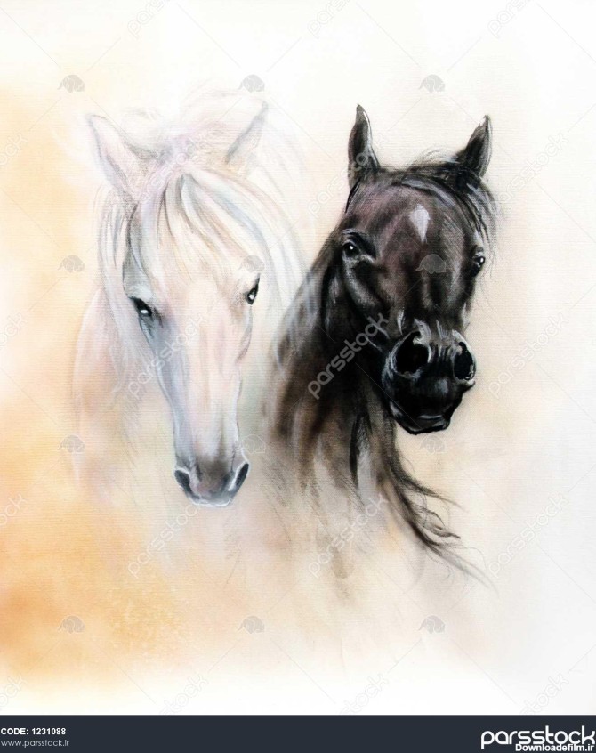 سر اسب دو روح اسب سیاه و سفید نقاشی رنگ روغن با جزئیات زیبا ...