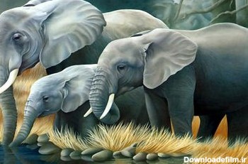 نقاشی خانواده فیل ها elephant painting