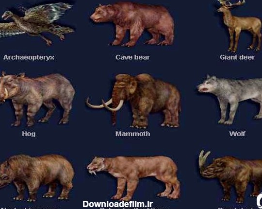 عصر پستانداران|تکامل پستانداران|پستانداران جفت‌دار