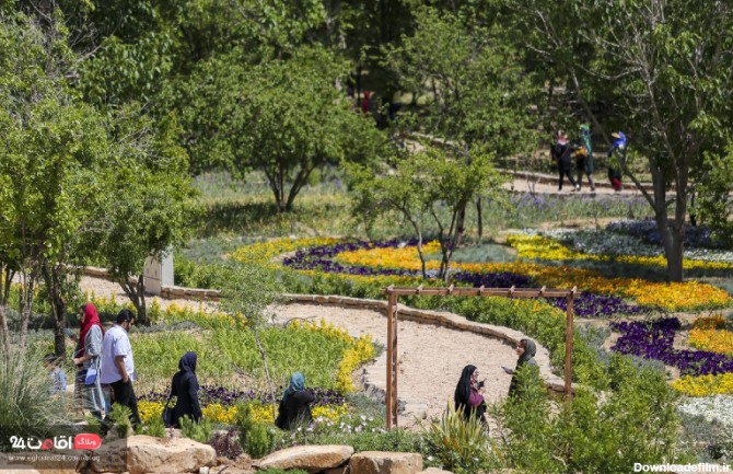 باغ گل ها شیراز
