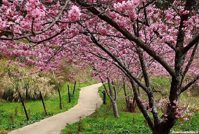 عکس مناظر طبیعت فصل زیبای بهار ⚡️ تصاویر مناظر زیبای بهاری در ...