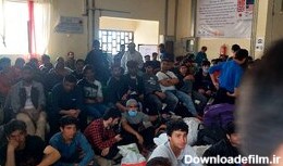 مهاجران افغان در حال خروج از ایران/عکس
