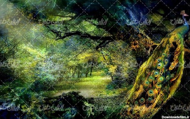 تصویر با کیفیت منظره زیبای جنگل به همراه طاوس و نقاشی طبیعت ...