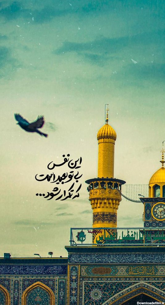 تصاویر از حرم امام حسین