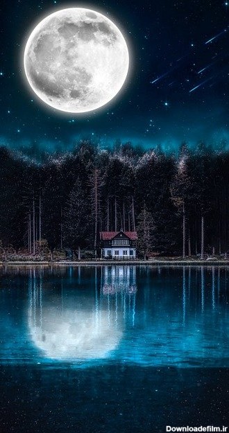 عکس ماه و جنگل
