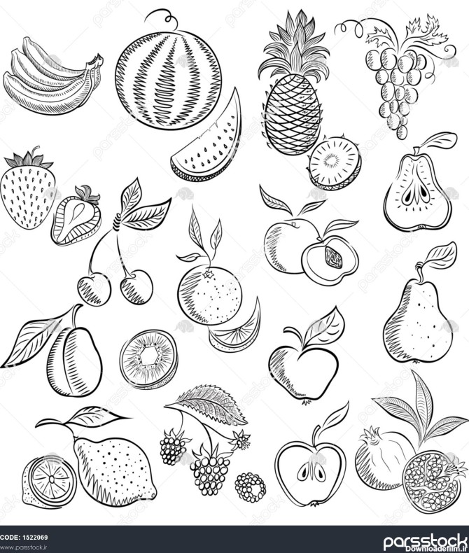از میوه و انواع توت ها تنظیم کنید رسم طرح نقاشی 1522069