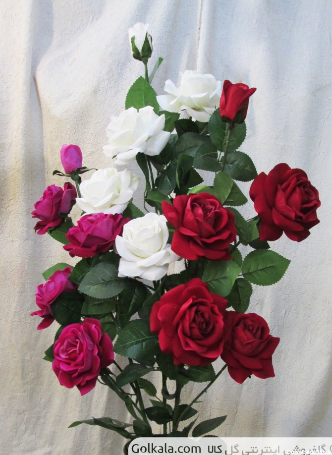شاخه گل رز قرمز ساقه بلند فرانسوی | گل فروشی گل کالا | شاخه ...