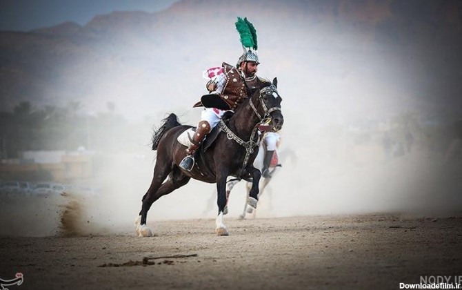 عکس اسب حضرت عباس - عکس نودی