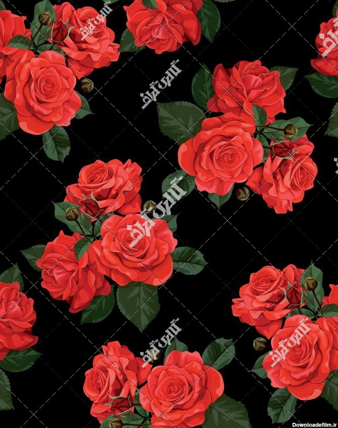 عکس پس زمینه سیاه با گل های رز قرمز