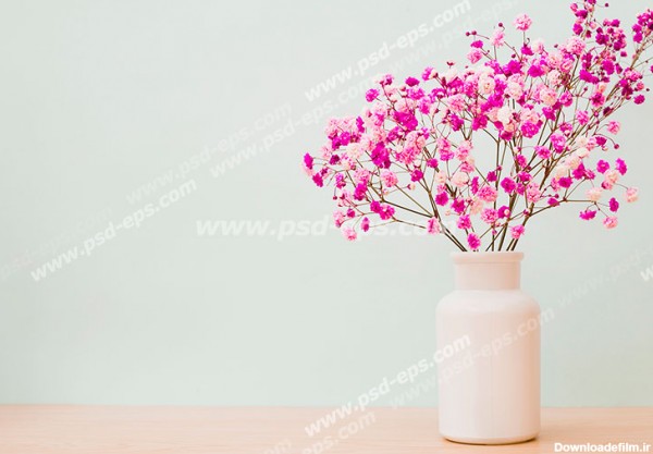 عکس گل در گلدان با کیفیت