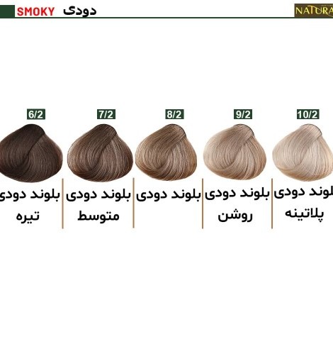 مشخصات، خرید و قیمت رنگ مو نچرال شماره 2-6 حجم 120 میل رنگ بلوند ...