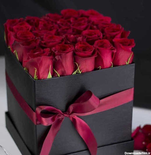 Online order of Dayan rose box Tehran-خرید آنلاین گل، کادو و ...