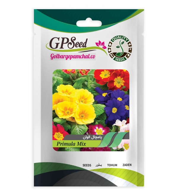 مشخصات، قیمت و خرید بذر گل پامچال گلبرگ پامچال کد GPF-030 | دیجی‌کالا