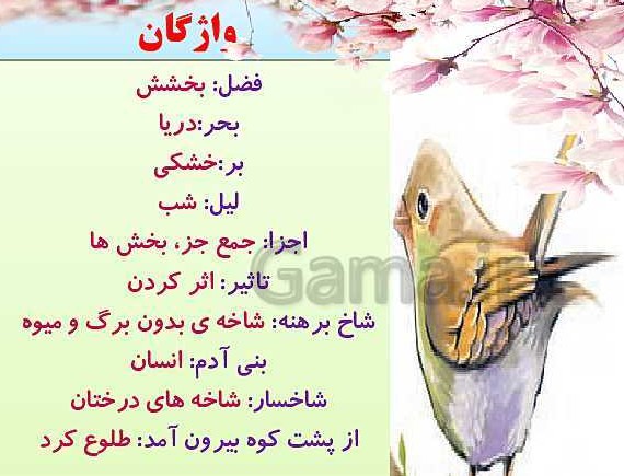 عکس هم معنی شعر فضل خدا