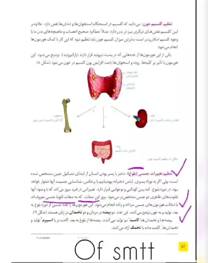 تدریس صفحه ۵۲ علوم هشتم غده جنسی بلوغ محمودطباطبایی
