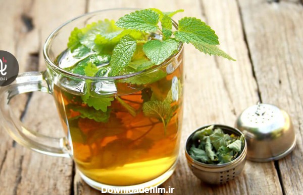 چای پونه | طرز تهیه در منزل + بررسی خواص و عوارض مصرف - کافی مافی