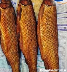 خرید و قیمت ماهی سفید - بدون واسطه از تولید کنندگان