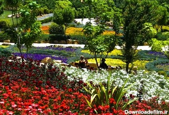 اردیبهشت در باغ گل های شیراز