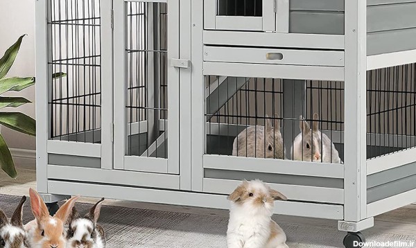 انتخاب فضای مناسب برای نگهداری از خرگوش در داخل خانه-@ITPetnet