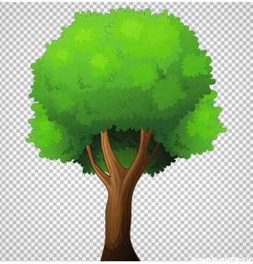 درخت پر شاخ و برگ جنگلی به صورت ترانسپرنت با پسوند png