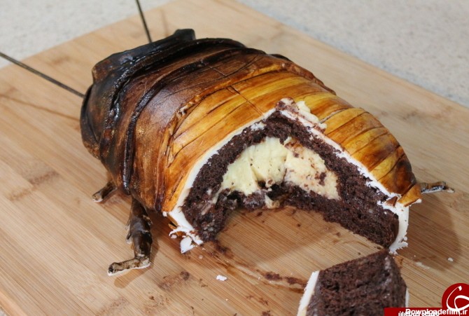 ترسناک ترین و چندش آورترین کیک های دنیا+تصاویر