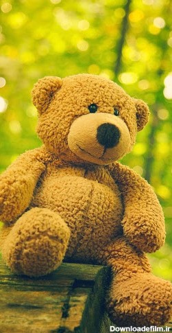 Teddy Bear Live Wallpaper - Latest version for Android ...