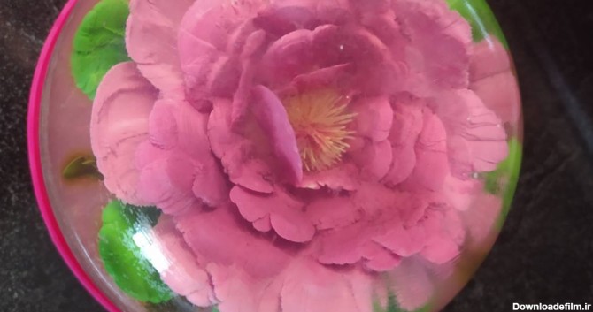 ژله تزریقی گل رز بنفش