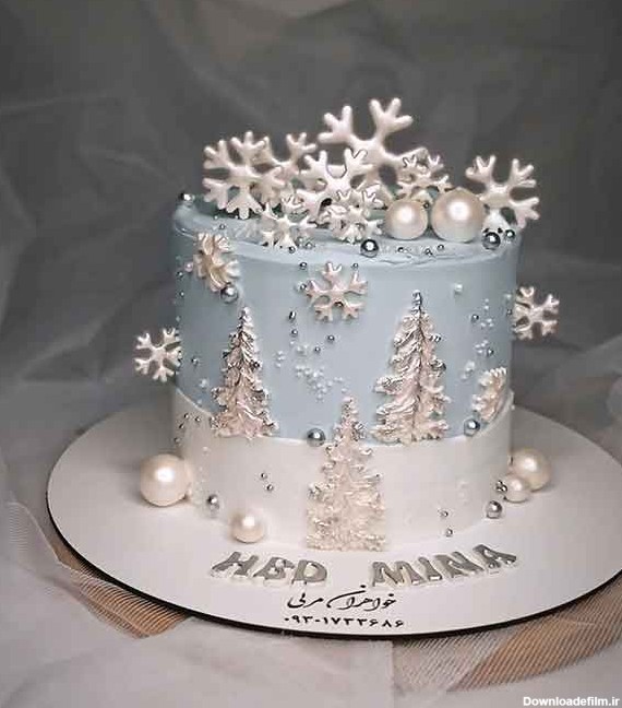 مدل کیک زمستونی 2024؛ همراه برف پودری خوشگل شما نگاه رنگو ‌چه هارمونی قشنگی داره