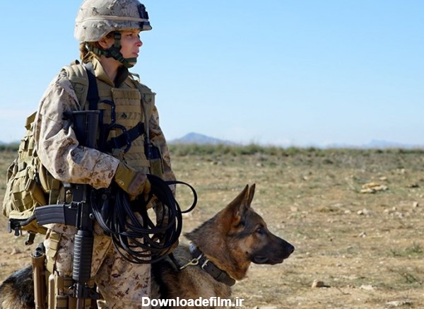 سینماگران آمریکایی چگونه از "سگ" قهرمان جنگی می‌سازند + عکس
