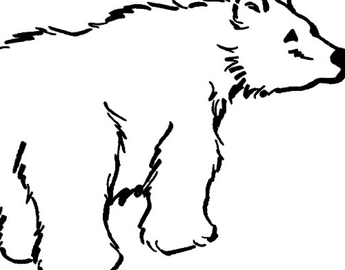نقاشی خرس جنگل