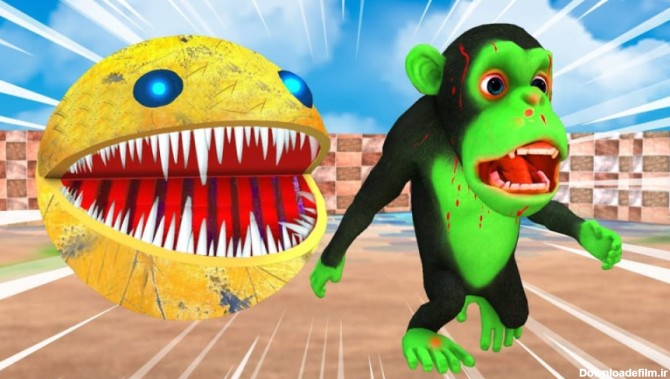 بازی با حیوانات خنده دار - میمون بامزه - بی بی هندوانه - سرگرمی برای بچه ها