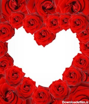 عکس رز های قرمز چیده شده در کنار هم به شکل یک قلب