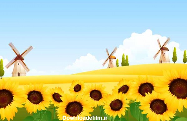 دانلود عکس کارتونی مزرعه گل آفتابگردان
