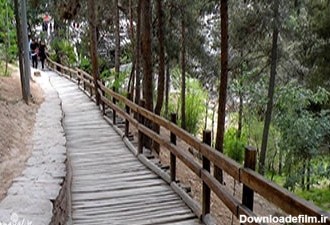 معرفی بهترین پارک های جنگلی تهران و آدرس دقیق آنها - سامتیک