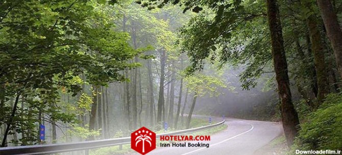 تصویر جاده جنگلی دالخانی از جاده های زیبای ایران