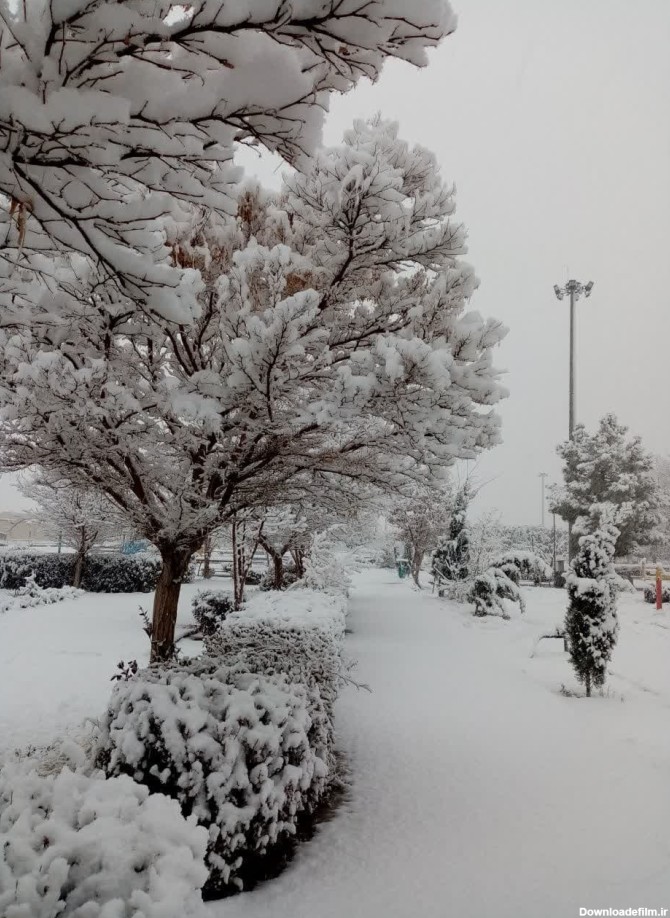 منتخب عکسهای طبیعت مهریز در زمستان برفی مهریز دی ماه 1401 – مهریز عکس