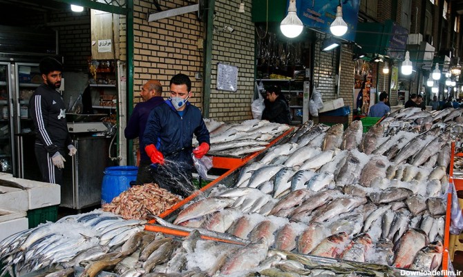 بازار ماهی فروشان بوشهر - نظرات و تصاویر | علی بابا پلاس