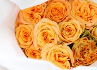دانلود عکس گل رز زیبای نارنجی پیچیده شده در کاغذ برای فروش در گل