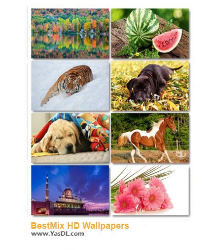 دانلود 52 والپیپر با موضوعات مختلف BestMix HD Wallpapers