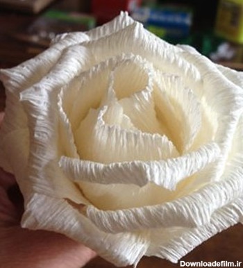 نحوه درست کردن گل رز با کاغذ کشی