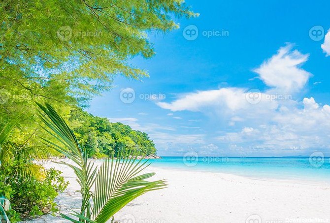 دانلود عکس پس زمینه زیبای ساحل استوایی | اوپیک