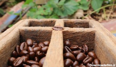 دانلود عکس دانه های قهوه در پس زمینه تار جعبه چوب ساج
