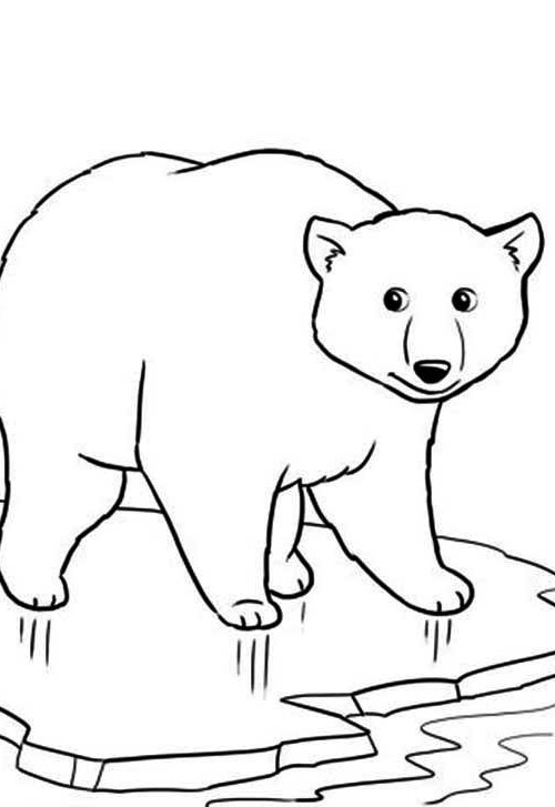 عکس خرس نقاشی کودکان